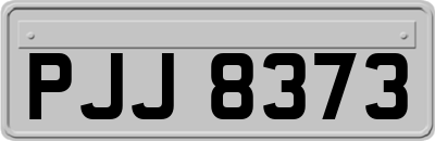 PJJ8373