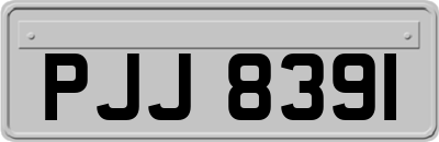 PJJ8391