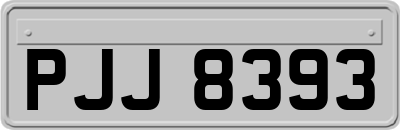 PJJ8393