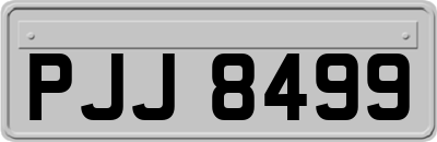 PJJ8499