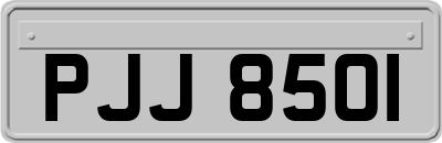 PJJ8501