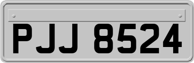 PJJ8524