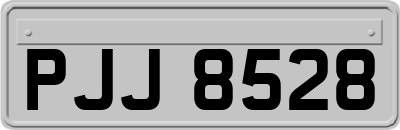 PJJ8528