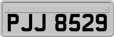 PJJ8529