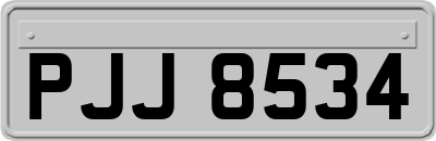 PJJ8534