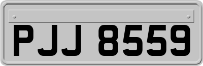 PJJ8559