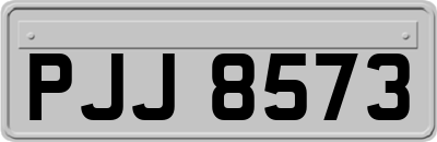 PJJ8573