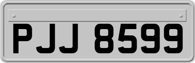 PJJ8599
