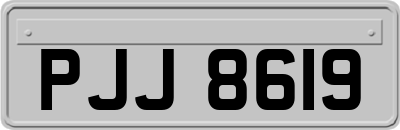 PJJ8619