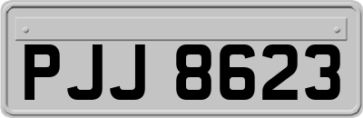 PJJ8623