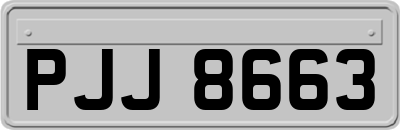 PJJ8663