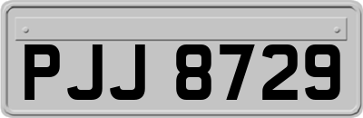 PJJ8729