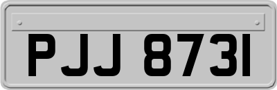 PJJ8731