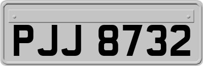 PJJ8732