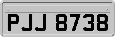 PJJ8738