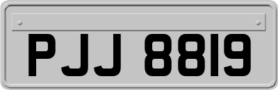 PJJ8819