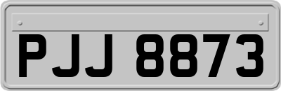 PJJ8873