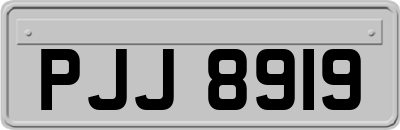 PJJ8919