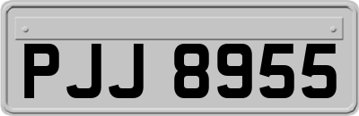 PJJ8955