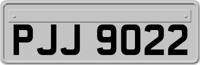 PJJ9022