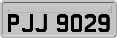 PJJ9029