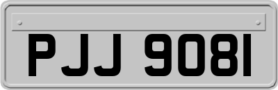 PJJ9081