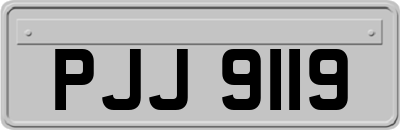 PJJ9119