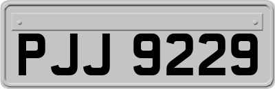 PJJ9229