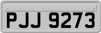PJJ9273
