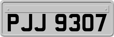 PJJ9307