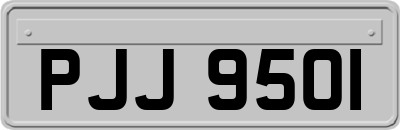 PJJ9501