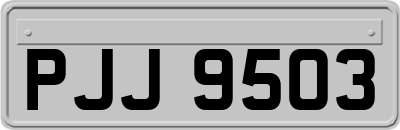 PJJ9503