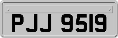 PJJ9519