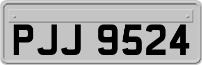 PJJ9524
