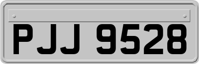 PJJ9528