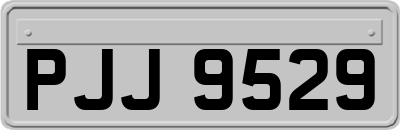 PJJ9529