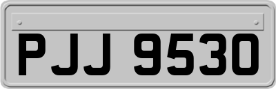 PJJ9530