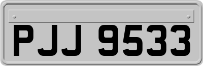 PJJ9533