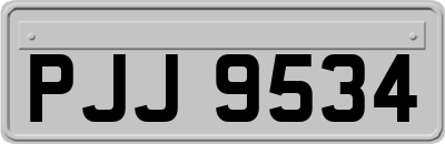 PJJ9534