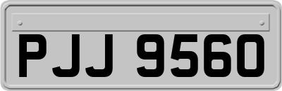PJJ9560