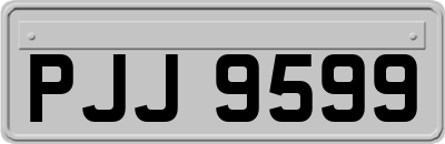 PJJ9599