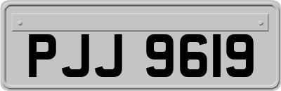 PJJ9619