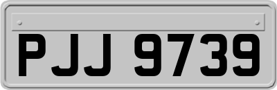 PJJ9739