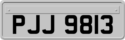 PJJ9813