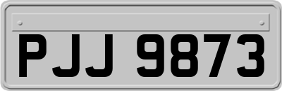 PJJ9873