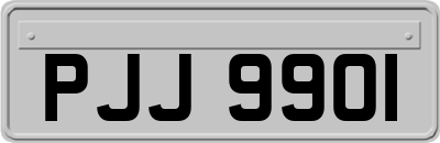 PJJ9901