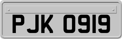 PJK0919