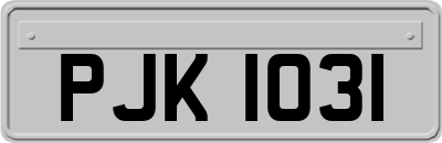 PJK1031
