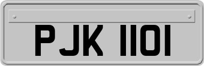 PJK1101