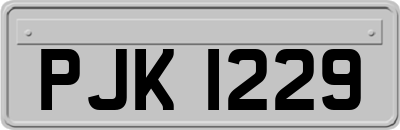 PJK1229